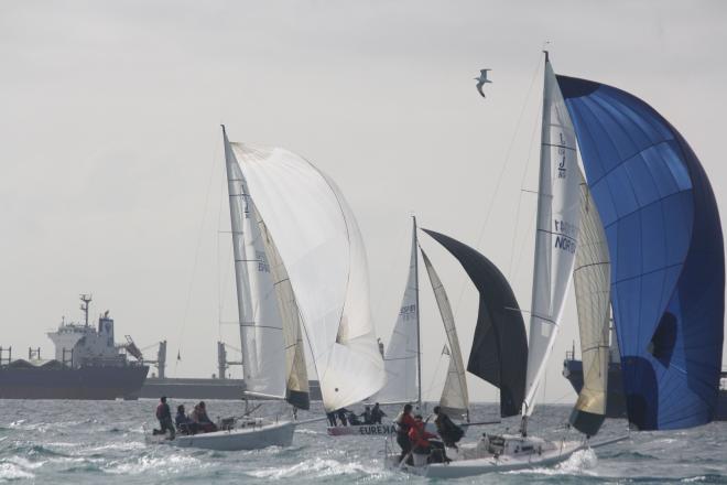 Barcos durante el Circuito Alcaidesa Marina J/80 Winter Series (Foto: Junta de Andalucía)