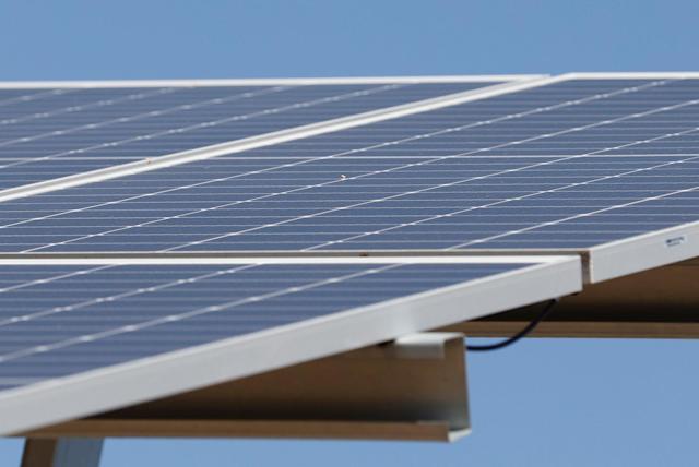 Paneles solares (Foto: EFE)