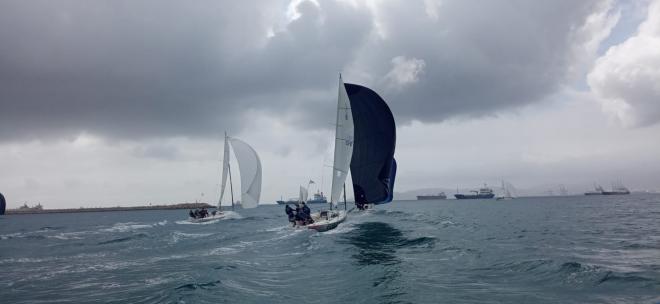 Un participante del  Circuito Alcaidesa Marina de J/80 (Foto: Federación Andaluza de Vela).