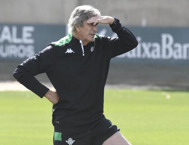 Manuel Pellegrini, entrenador del Real Betis (Foto: Kiko Hurtado).