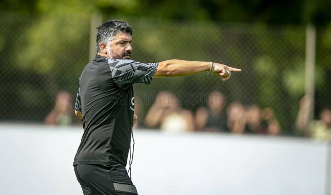 Gattuso (Foto: Valencia CF)