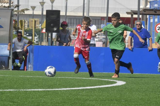 Recta final para la CBC de 2022 Benidorm,