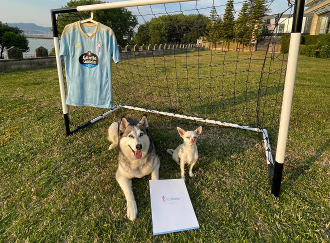 Cuco y Perla, los perros de Beltrán con la nueva camiseta del Celta (Foto: RC Celta).