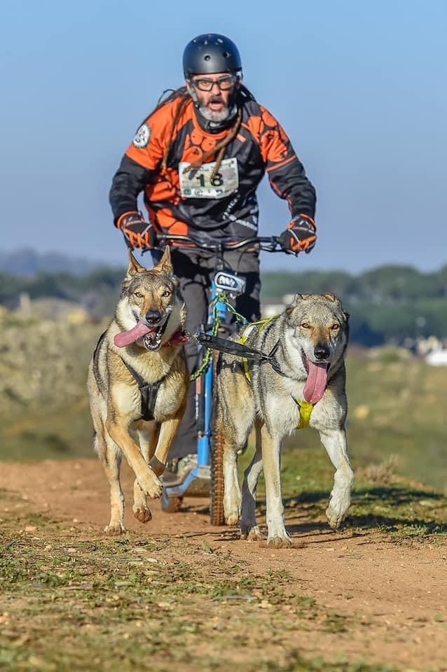Una imagen de un deportista en el Pinar de Roche con sus perros.
