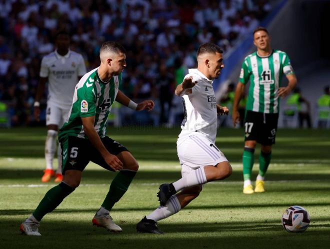 Dani Ceballos, en un partido ante el Betis (Foto: RMCF).