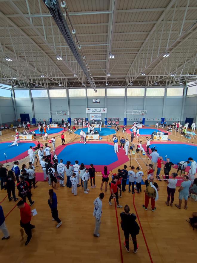 X Open de Taekwondo de la Comunitat Valenciana