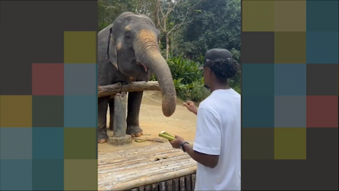 Thierry alimenta elefantes en Tailandia (Foto: Thierry)