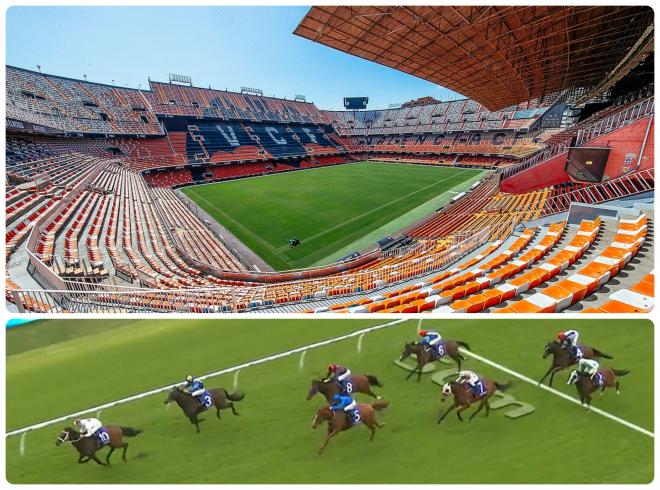 El caballo más valencianista se proclama campeón y se llama Estadio Mestalla
