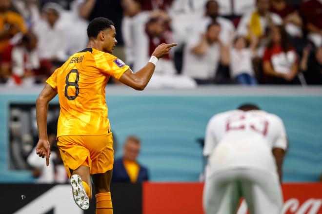 Gakpo, celebrando su gol a Qatar (Foto: Cordon Press).