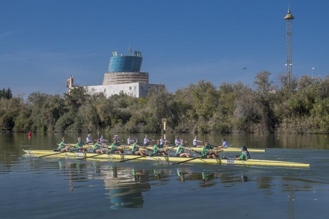 Un instante de la regata Sevilla-Betis (Foto:FAR)