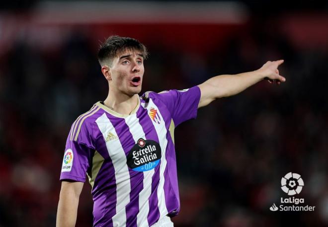 Fresneda da instrucciones en el Mallorca-Valladolid (Foto: LaLiga).