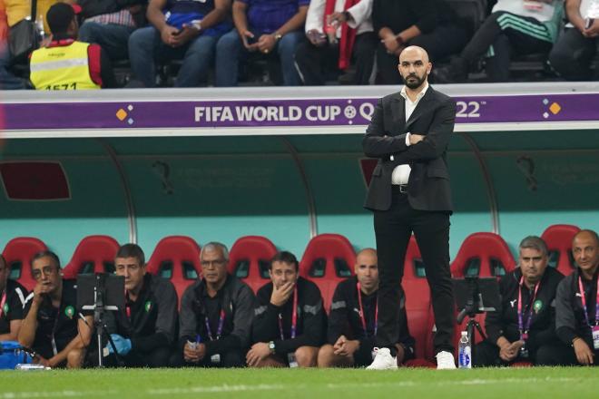 Regragui, durante un partido de Marruecos en el Mundial de Qatar. (Cordon Press)
