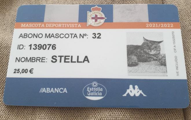 Stella, la gata de Javi que es socia del Deportivo