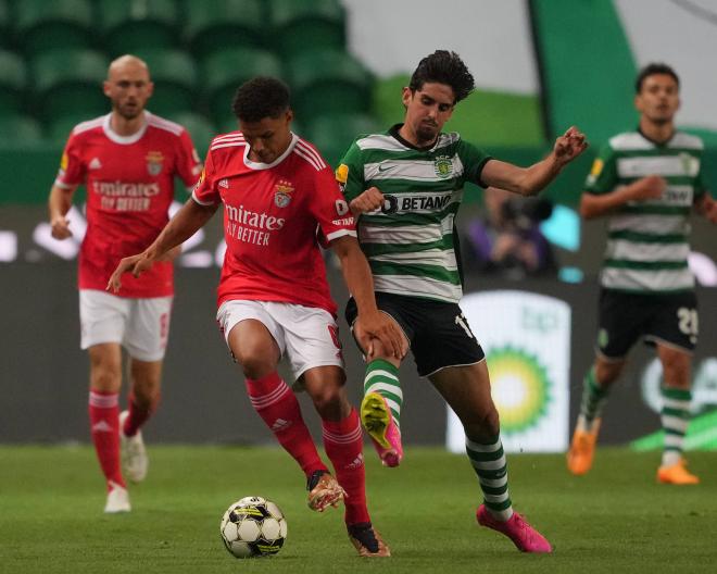 Alexander Bah y Trincao, en un Sporting-Benfica (Foto: Cordon Press).
