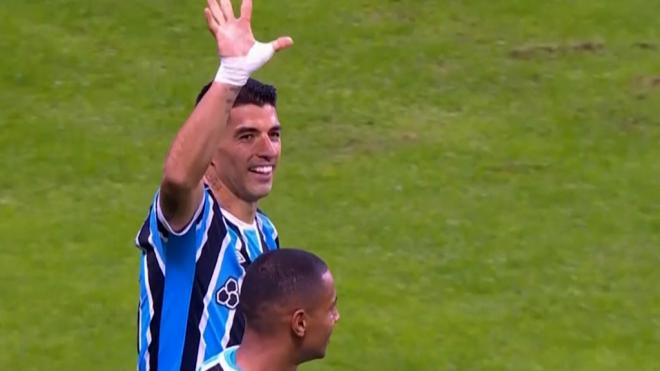Luis Suárez celebra un gol con Gremio.