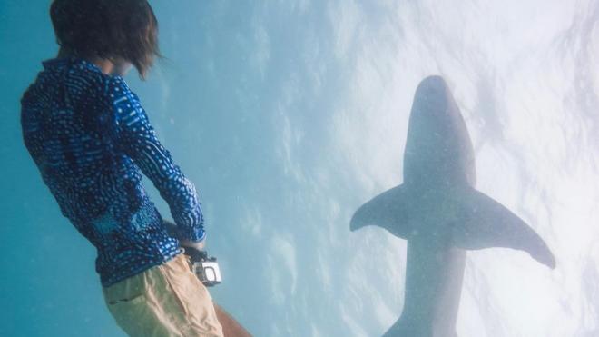Charlie Sarria, buceando con tiburones (@charliesarria)