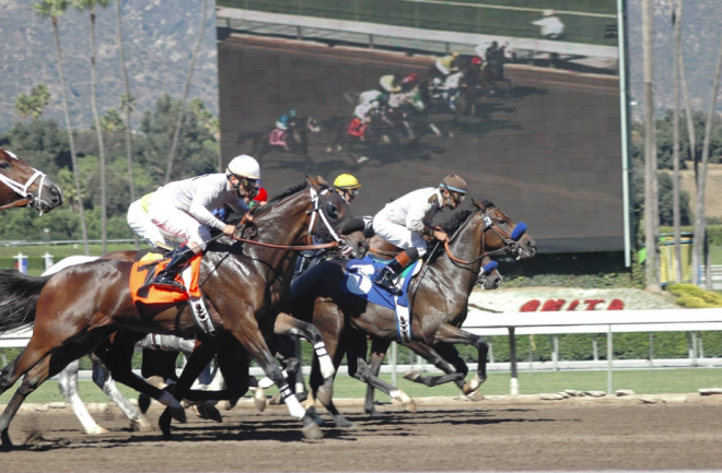 Una carrera de caballos (Foto: pixabay.com).