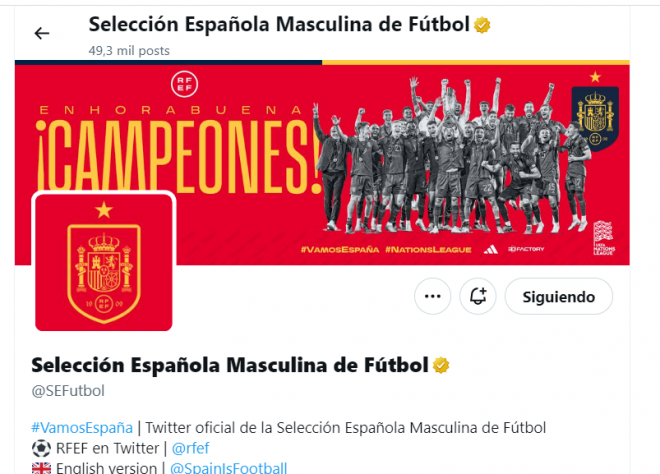 El cambio en el nombre de twitter de la selección española masculina.