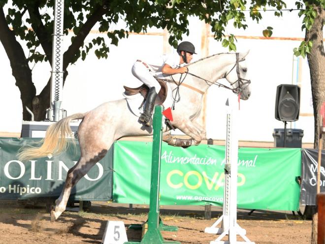 Gran Semana del Anglo-árabe del Parque del Alamillo.