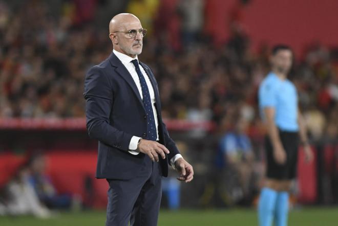 Luis de la Fuente, exjugador del Athletic Club, durante el partido España-Escocia (Foto: Kiko Hurtado).