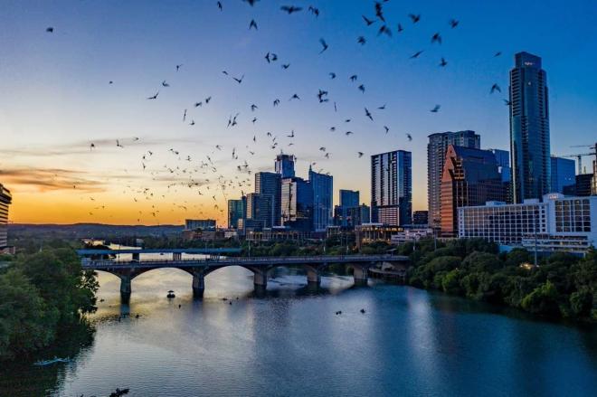 Casi un millón de murciélagos en el puente de Austin, Texas (Foto: Valencia CF)