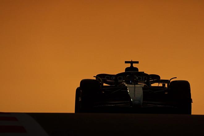 Fernando Alonso, en el GP de Abu Dabi (Foto: Cordon Press).
