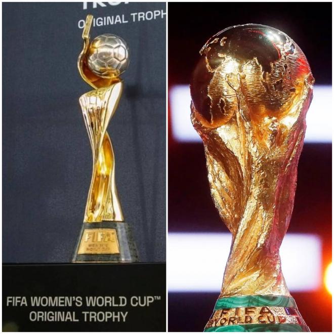 Las copas de los Mundiales masculino y femenino. (Foto: EFE)