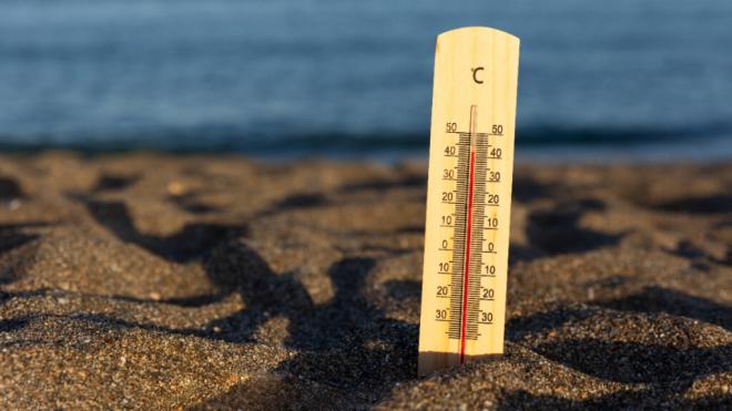 Los factores que influyen en la mortalidad asociada a las olas de calor.