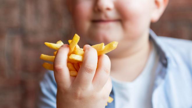 Los factores que influyen en la obesidad infantil.