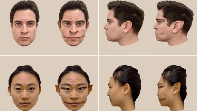 Imágenes que recrean las distorsiones de rostros humanos, tal como los percibe un paciente con prosopometamorfopsia (Universidad de Dartmouth)