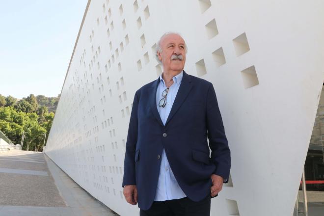 Vicente del Bosque, exseleccionador de la selección española (Fuente: Cordon Press)