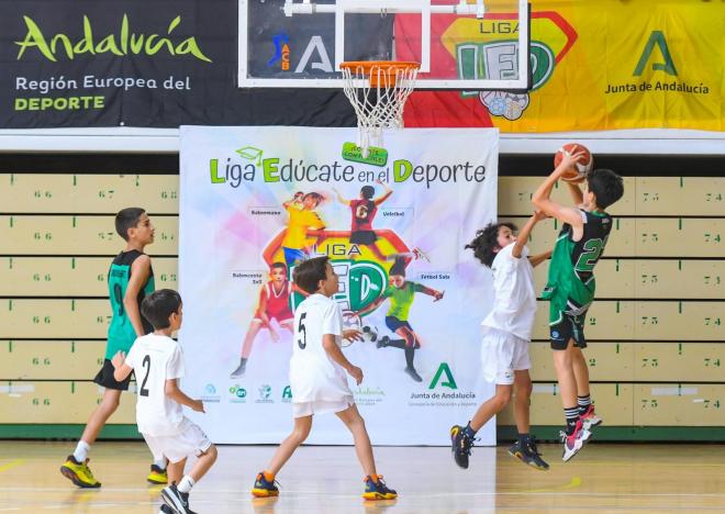 Lanzamiento a canasta durante un partido de la Liga LED en Andalucía.