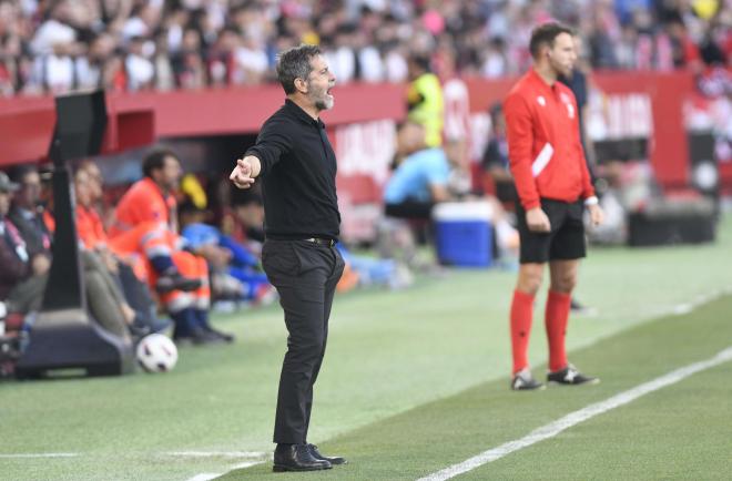 Quique Sánchez Flores, ante el Cádiz (Foto: Kiko Hurtado).