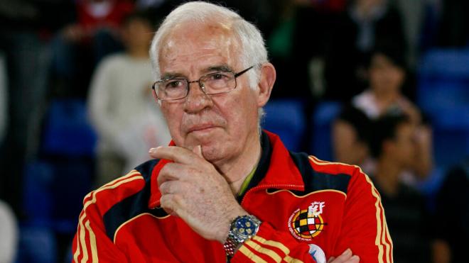 Luis Aragonés en la Eurocopa 2008 (Foto: Cordon Press)