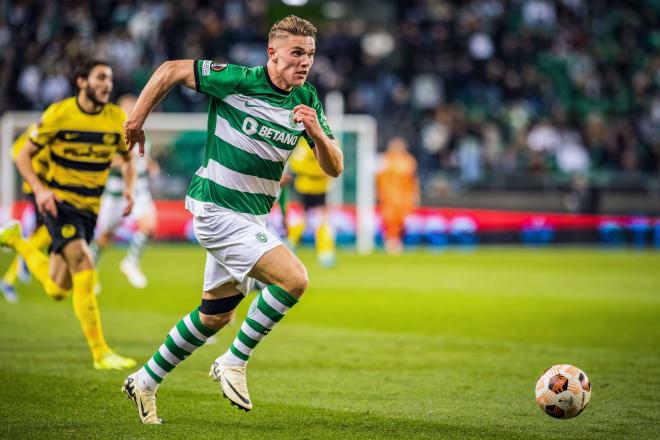 Gyökeres jugando un partido con el Sporting (Foto: Cordon Press).