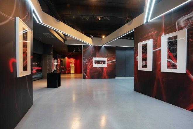 Vista de la Exposición de la nueva obra de Darío Urzay, situada en AC Museoa del Athletic Club en el interior del campo de San Mamés.