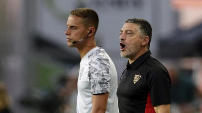 García Pimienta, ante el Sporting de Portugal (Foto: EFE).