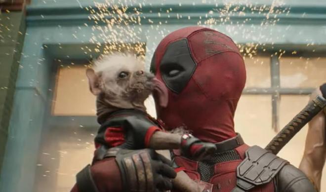 El amor correspondido entre Deadpool y Dogpool, el romance de la nueva película de Marvel.