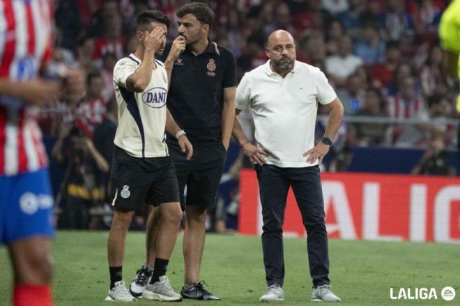 Manolo González, en el Atlético-Espanyol.