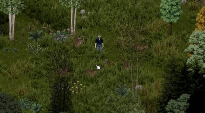 Los animales salvajes, entre las enormes novedades de la 42 de Project Zomboid