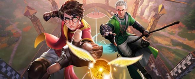 Harry Potter: Campeones de Quidditch