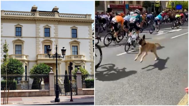 El Gobierno de Rioja multó al perro que se metió en una etapa de La Vuelta.