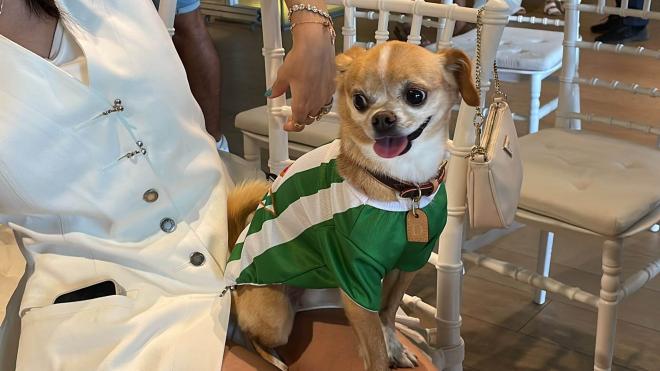 El perro de Vitor Roque durante la presentación del brasileño (Foto: Kiko Hurtado).