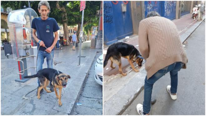 Maurizio Schillaci vive con su perro Ciccio en la calle (foto: Giusy Caldo Facebook).