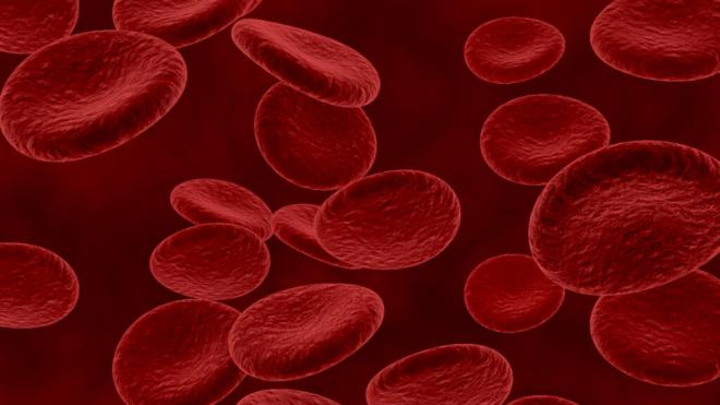 Simulación de sangre vista desde un microscopio (Foto: Freepik)