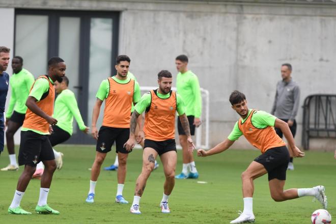 Los jugadores de Real Betis en un reciente entrenamiento (Foto: Kiko Hurtado)