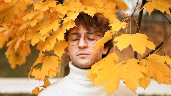 Hombre entre hojas de árboles en otoño (Foto: Freepik)