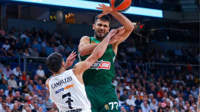 Facundo Campazzo en el WiZink Center (Foto: Cordon Press)