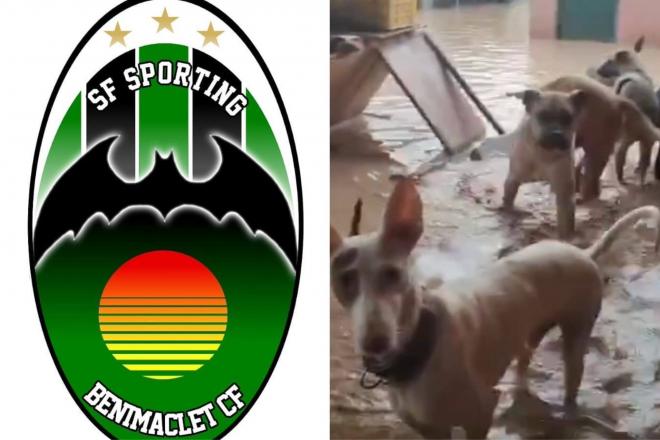 El Sporting Benimaclet acoge a los animales sin hogar por la DANA.