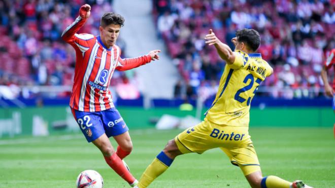 Giuliano Simeone, durante el Atlético-Las Palmas de LALIGA EA SPORTS (foto: Cordon Press).